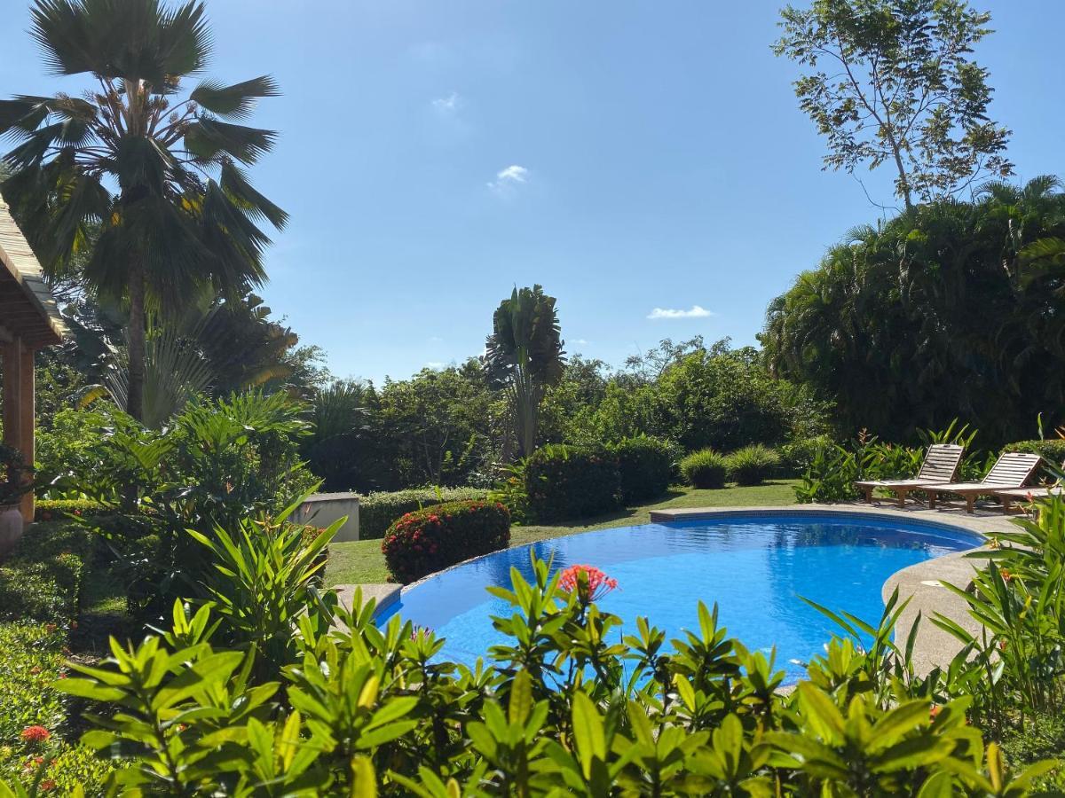 Palm Coast Luxury Rentals Esterillos Este Εξωτερικό φωτογραφία